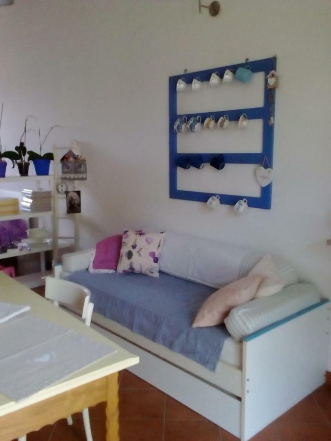Apartment Loft 