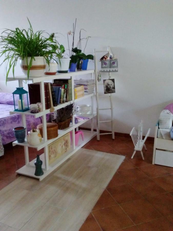 Apartment Loft Le Rosier *