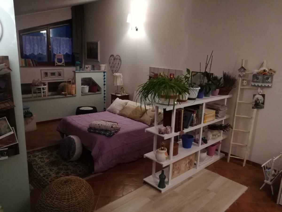 Apartment Loft 